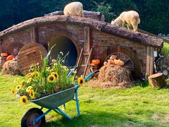 -HERRE·FARM 赫尔露营农场·团建聚会包场