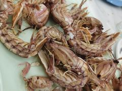 清蒸皮皮虾-北戴河庆山饭店·海鲜砂锅粥(北戴河黑石路店)