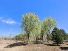 -张家湾公园