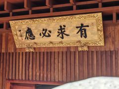 -深圳仙湖植物园
