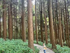 -罗田薄刀峰风景区