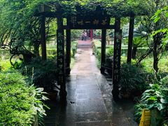 -峨眉山报国寺