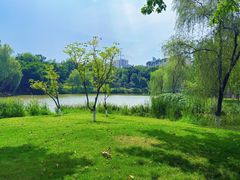 -沐仙湖湿地公园