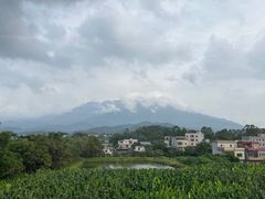 -满記土窑烧鷄波浪山莊
