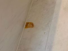 -大连中远海运洲际酒店