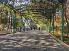 -石家庄市动物园