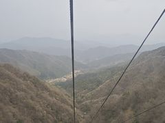 -王顺山国家森林公园