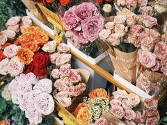 -溪岸路花鸟市场