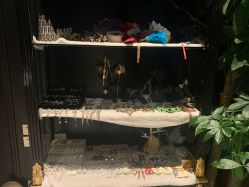 点击看大图 -鼎极摄影(世纪金源店)