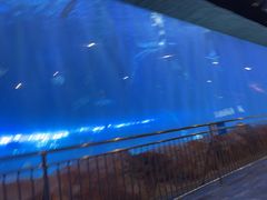 -华夏文旅西安度假区