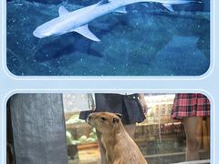 -南昌海洋公园