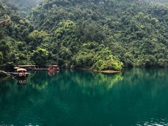 -鼎湖山风景区