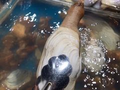 -盒马鲜生(曜一城店)