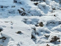 -浙西天池-售票处