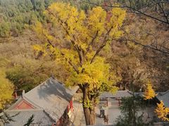-青檀寺景区