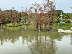 -海珠湖公园