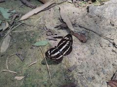 -汉堡王(EAC欧美中心店)