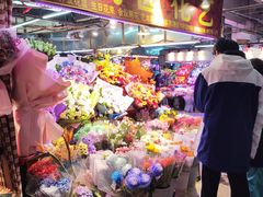-花鸟鱼虫鲜花绿植市场(玉泉路店)