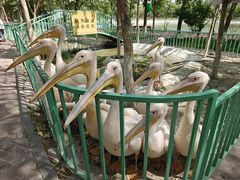 -水上乐园·欢乐世界