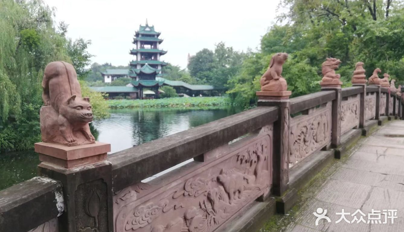 一个人在桂湖森林公园坐着发呆……