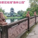 一个人在桂湖森林公园坐着发呆……
