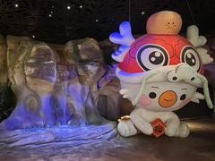 -杭州开元森泊度假乐园