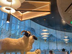 -百草滩羊清水涮羊肉·清真·宁夏盐池滩羊(莲花桥店)