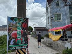 -南汇水蜜桃采摘(大团店)