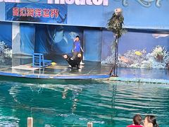 -苏州海洋馆