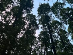 -上海怡沁园度假酒店