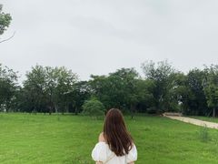 -盘龙城国家考古遗址公园