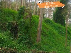 -火炉山森林公园
