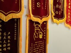 -美联众合爱康动物医院•复杂内科•肿瘤科•牙科•腔镜诊疗中心