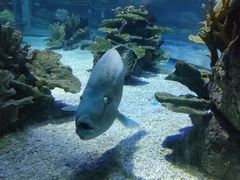 -欢乐海岸海洋奇梦馆