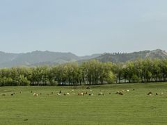 -新疆那拉提国家旅游度假区