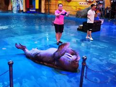 -烟台海昌鲸鲨海洋公园