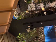 -桂满陇·海市蜃楼·黑金(国金店)