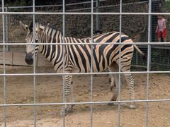 -泉州海丝野生动物世界