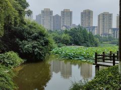 -龙头寺公园