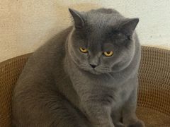 -Me Coffee下午茶艺术空间