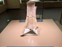 -安阳博物馆