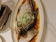 -刘胖子家常菜·蹄花焖藕(中南店)