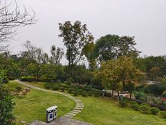 -铁山坪森林公园