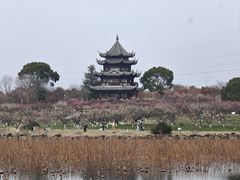 -上海海湾国家森林公园