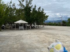 -元谋浪巴铺土林景区