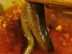 鳝鱼-岗上渣渣老火锅(两路口店)