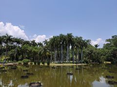 -中国科学院西双版纳热带植物园