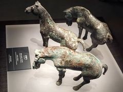 -邯郸市博物馆(新馆)