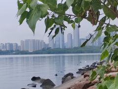 -深圳湾公园(南山区)