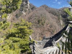 -王顺山国家森林公园